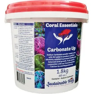 CE Carbonate Up Powder