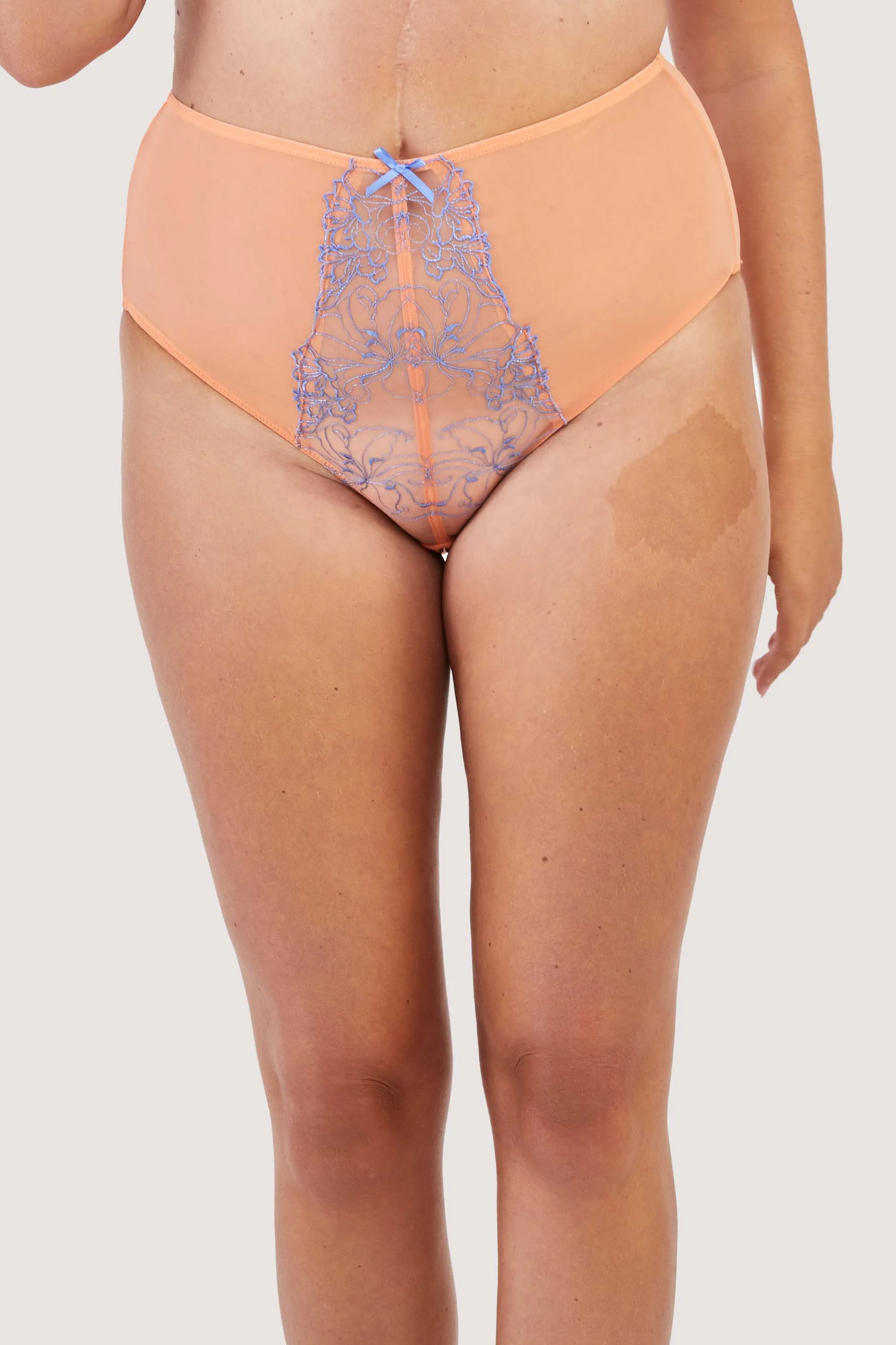 Palm Bay Coral Embroidery High Waist Brief