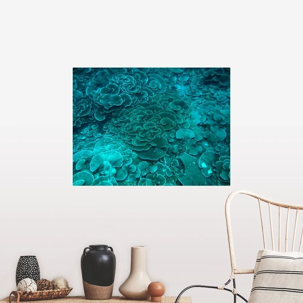 "Cabbage coral reef" Poster Print - Multi