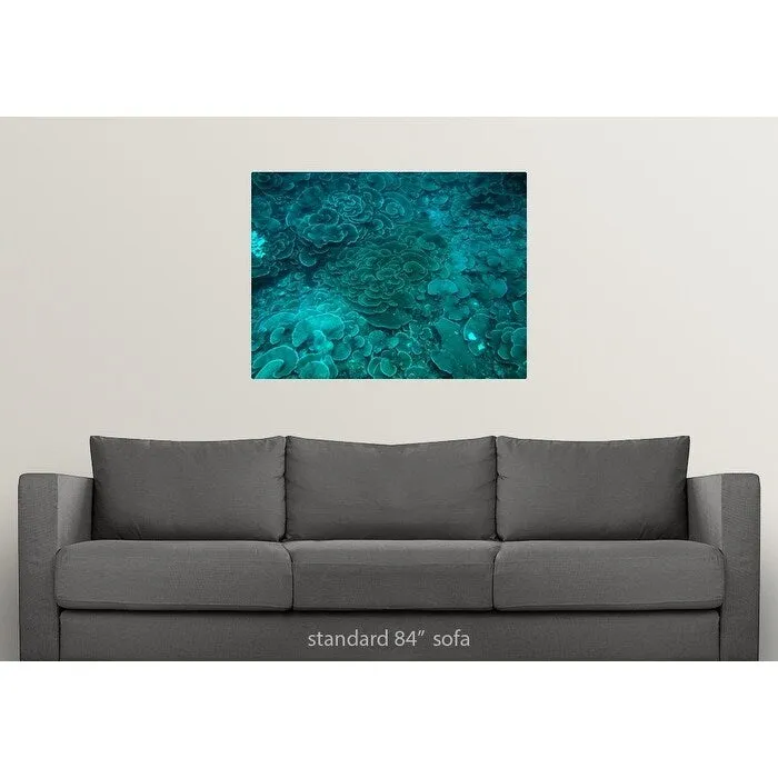 "Cabbage coral reef" Poster Print - Multi