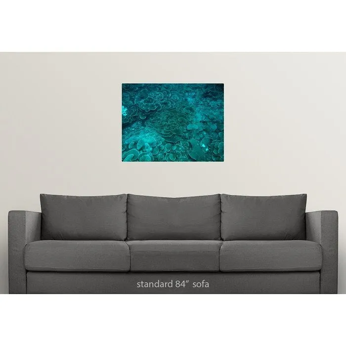 "Cabbage coral reef" Poster Print - Multi