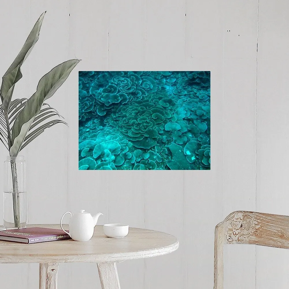 "Cabbage coral reef" Poster Print - Multi