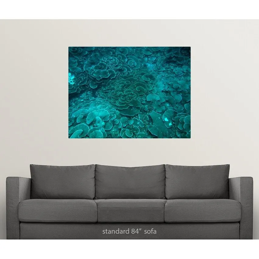 "Cabbage coral reef" Poster Print - Multi