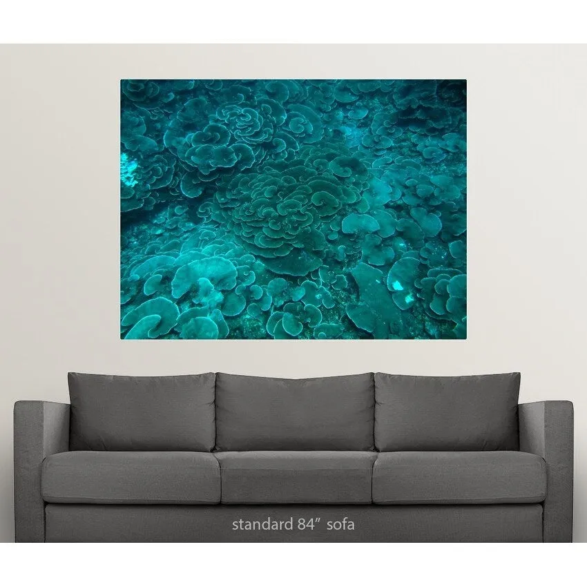 "Cabbage coral reef" Poster Print - Multi